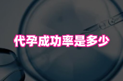 哈尔滨助孕网 2