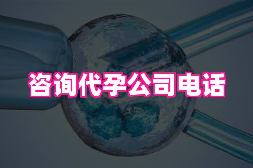 哈尔滨助孕网 3