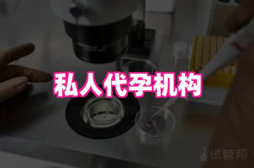 哈尔滨助孕网 4
